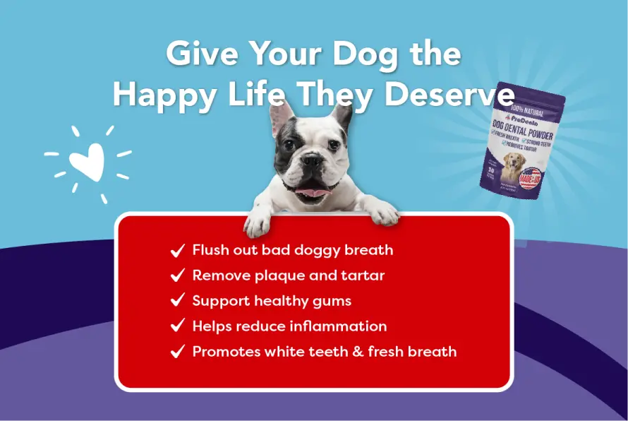 Pup Labs ProDenta®