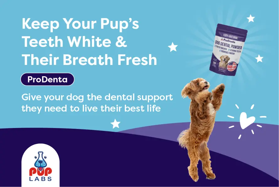 Pup Labs ProDenta®