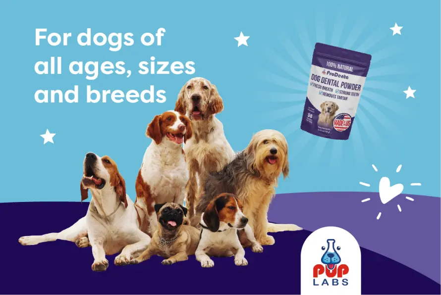 Pup Labs ProDenta®